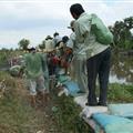 khac phuc vo bo bao phuong hiep binh chanh thu duc