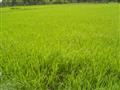 adb additional 60 mln funding for southern vn water project