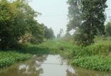 flood prevention projects and maintenance of irrigation works in 2009