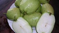 seedless guava