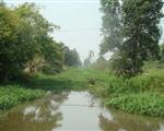 du an phong chong lut bao va duy tu sua chua cac cong trinh thuy loi nam 2009