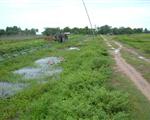 cong trinh phong chong lut bao va duy tu sua chua cac cong trinh thuy loi nam 2008